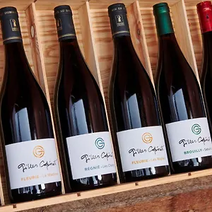 Bed & Breakfast Domaine Gilles Coperet- Artisan-vigneron- D'hotes Les Glycines -, Régnié